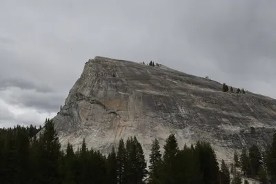 DSC_4485 (Large).JPG